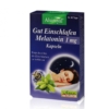 Alsiroyal Gut Einschlafen Melatonin 1 mg Kapseln