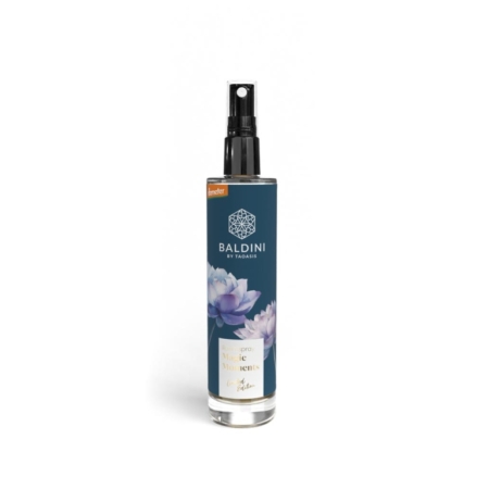 Baldini Magic Moments Raumspray (50ml)