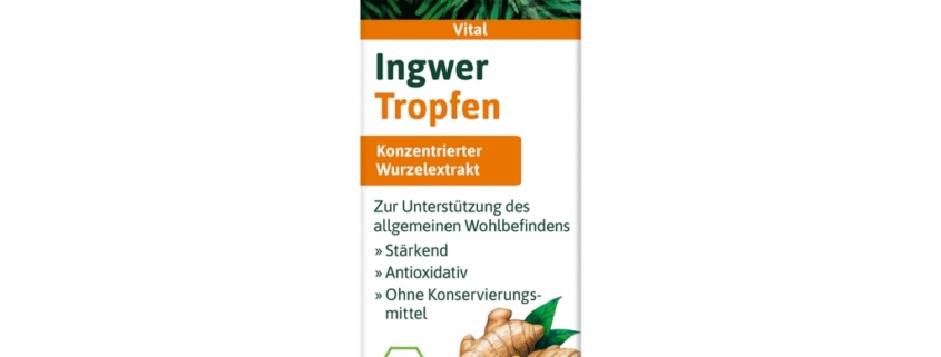 Hübner Ingwer Tropfen (20ml)