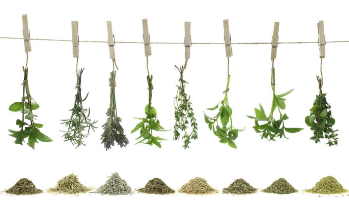 Fresh herbs hanging on a rope Treben Produkte