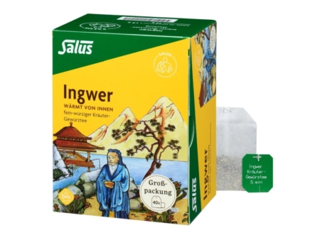 Salus Kräuter-Gewürztee-Mischung Ingwer bio (40 Filterbeutel)